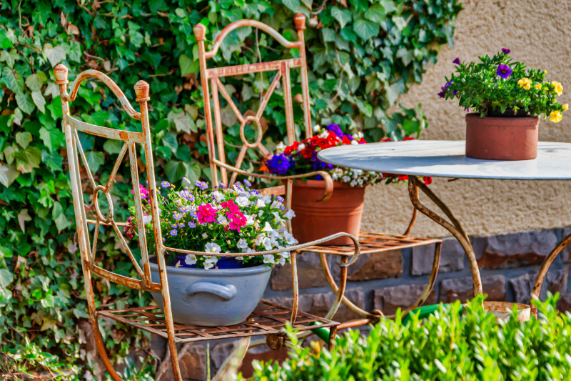 Ideas for Transforming Your Garden